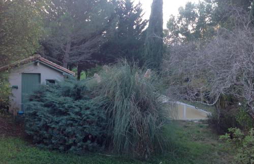 GITES DU MOULIN A VENT - Foto 8