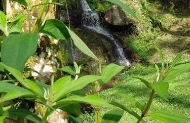 Friburgo Lagos p Pesca,Banho,Sauna,Campinho - Foto 10