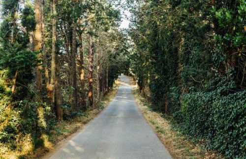 Fontemarinaalta - Foto 34