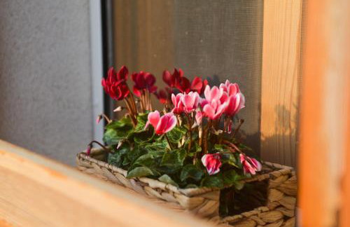 Beach House Marina Grande - Photo 28