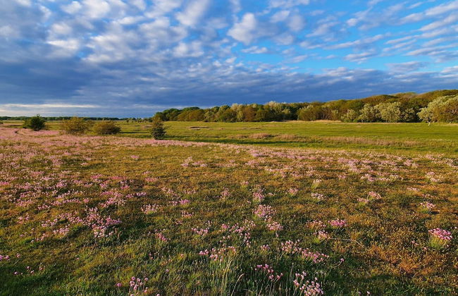 10 Person Holiday Home in Dragor-by Traum - Photo 13