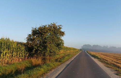 Stilvolle Ferienwohnung im Eichsfeld - Foto 33