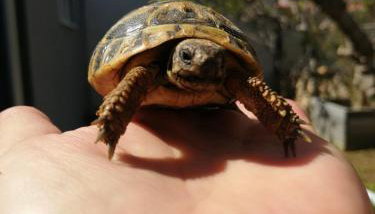 Apartments Lanterna Ražanac - Foto 4