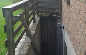 FeWo am Pohlsee - Foto 13