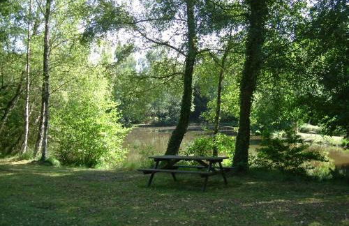 Pretty cottage with exclusive use of private pool in 5 acres of grounds - Foto 6