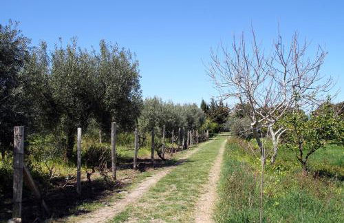 Tenuta Piana 2 con accesso diretto al mare - Foto 23