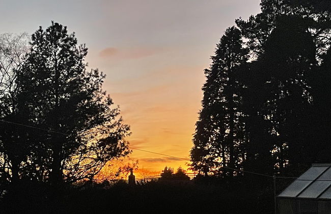 Studio/lickey Hills/near Attractions/garden/petok - Foto 21