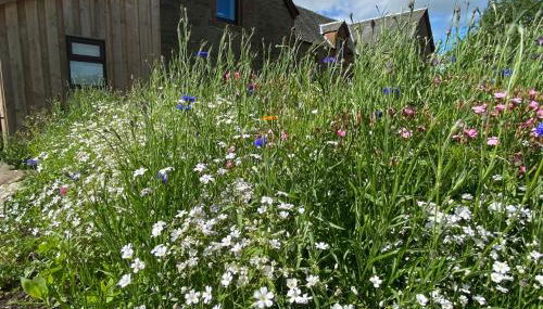 The Smiddy House - Foto 5