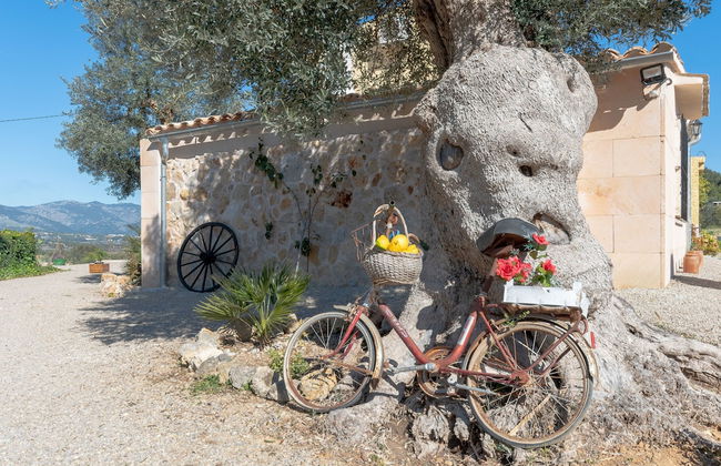 Finca Can Rebasso - Foto 27