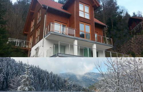 Holiday home in Hornberg with swimming pool - Foto 1