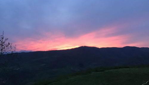 Il Mandorlo - Photo 3