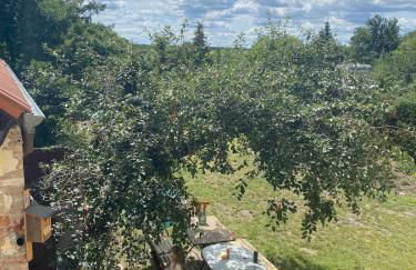 Urlaubsidylle Friedrichswalde - Foto 34