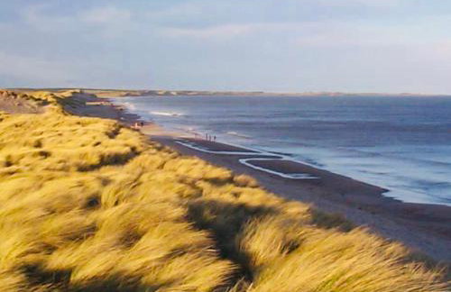 The Stags Lodge - Foto 16