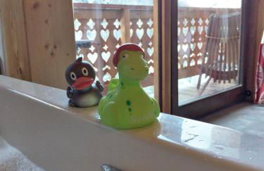 Ferme Saint-Aubin - Foto 57