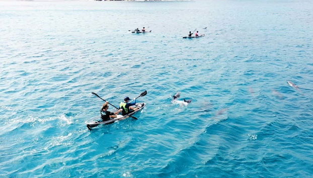 See-through Kayak Tour of Fernando de Noronha - Foto 4