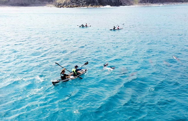 Balade en kayak transparent à Fernando de Noronha - Photo 9