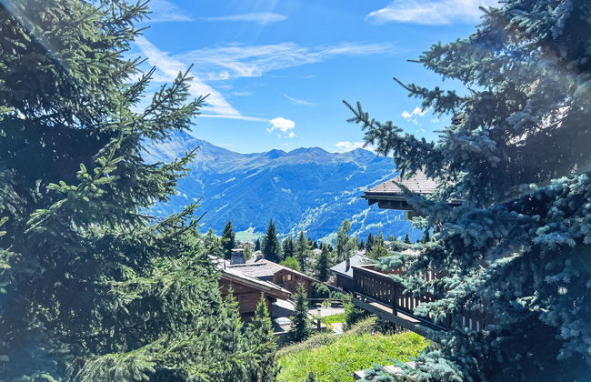 Sernisa Rez - Foto 21