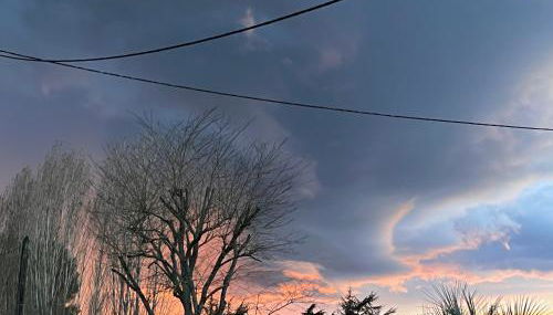 Villa à la porte des landes - Foto 2