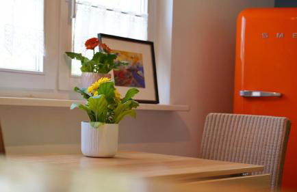 Gartenhaus in Potsdam Wilhelmshorst - Foto 15