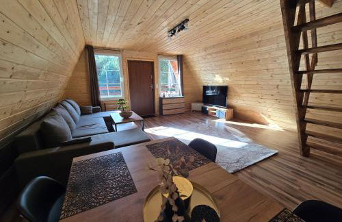 Domki Bory Tucholskie - Kurs na wypoczynek - Foto 44