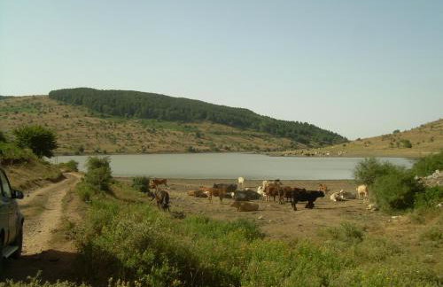 Agriturismo Fontanapietra - Foto 23