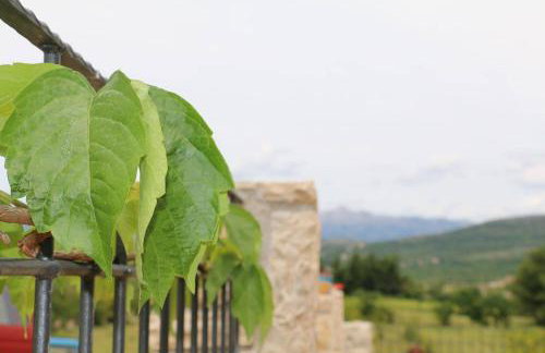 Stone house Skrivena - Foto 24