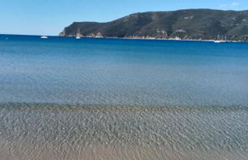 Riccio di Mare - Foto 14