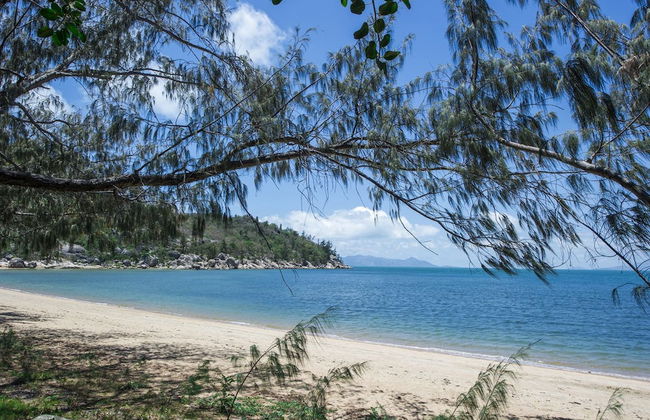 Picnic Bay Apartments Unit 3 - Photo 17