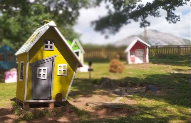 Entrada para la Ruta del Ratoncito Pérez - Foto 2