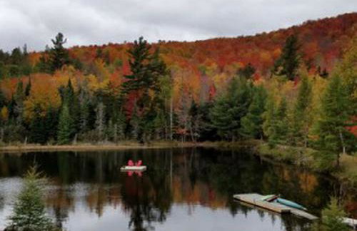 Rustic Cabin for a Weekend Getaway near McKenzie Mountain Wilderness in New York - Foto 12