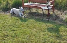 Athelas, self catering cottage - Photo 6