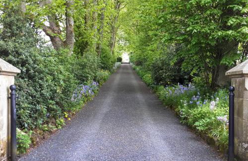 The Studio At Westfield - Photo 14