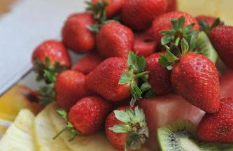 Quinta das Ratoeiras - Foto 14