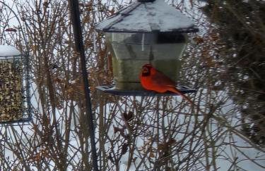 Pier Harbor #2 - Foto 7