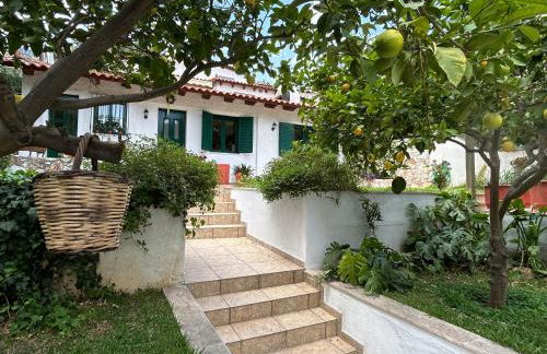 Perivolakia Garden View - Foto 1