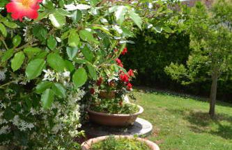 Agriturismo La Ghiraia - Foto 29