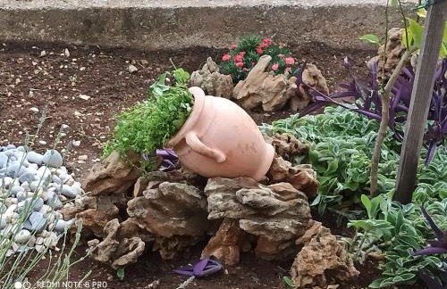 Apartmani Mislav - Photo 2