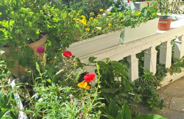 Marchie's Place - Spacious one bedroom apartment for rent on Skopelos Island - Foto 23
