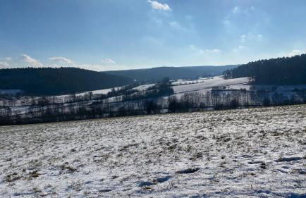 Heim Lisse - Foto 33