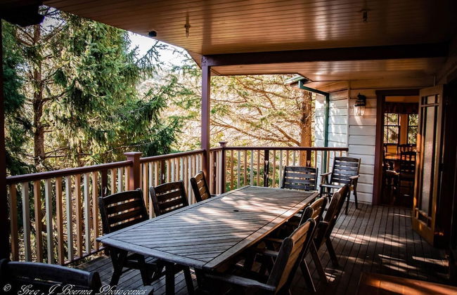 The Hidden Gem - Photo 7