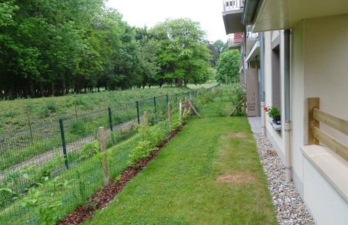 Séjour inoubliable en baie de SOMME, logement neuf - Foto 44