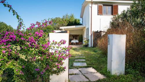 Green House - Foto 3, sunbed