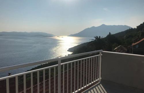 Captain Branko - Foto 6