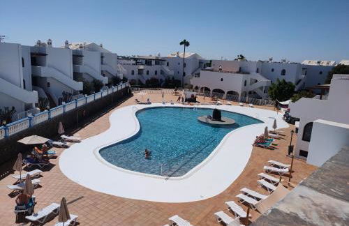 Flor De Cactus - Foto 7