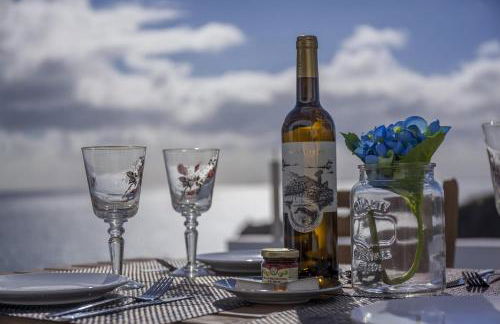 Água de Alto Terrace House - Photo 24