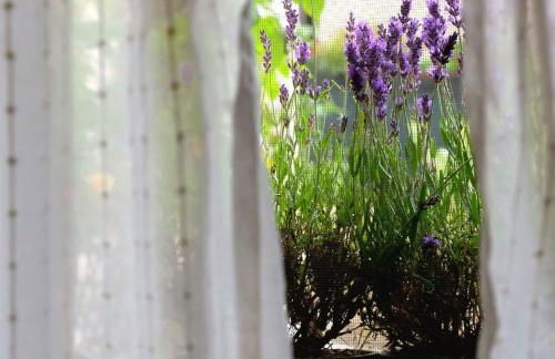 Sotto le 3 Torri - Foto 17