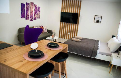 Apartments Lisinski - FREE parking - Foto 62