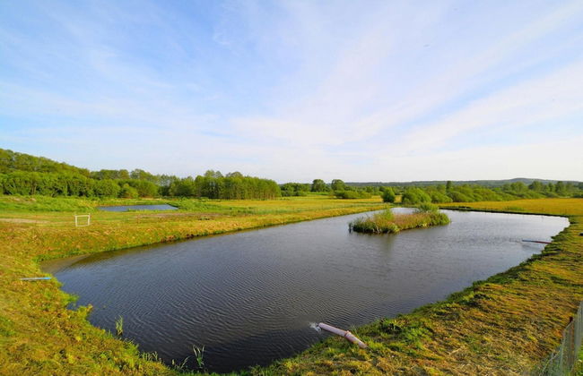 Cottage in the Countryside, Quiet, Private Garden - Photo 11