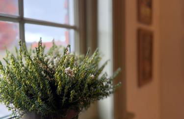 The Saltburn Townhouse - Foto 46