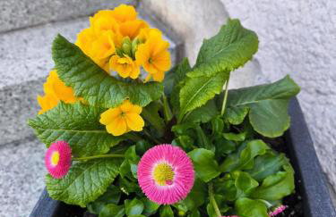 Ferienhaus Isabel - Foto 14